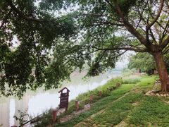 -成都市活水公园