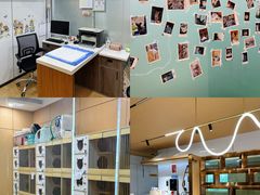 -pd派德宠物中心医院24H急重症·眼科中心·血液透析中心(嵩山北路店)