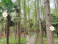 -东平国家森林公园