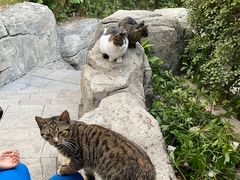 -晓港公园