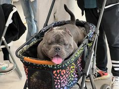 -凯德广场(武胜路店)