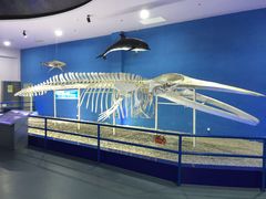 -福州罗源湾海洋世界旅游区