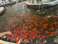 -碧中海汤泉汗蒸酒店