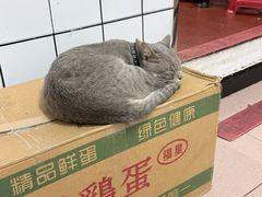 -双生肠粉(牌坊街总店)