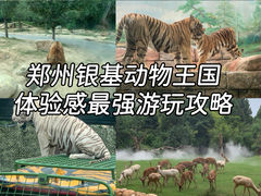 -郑州银基国际旅游度假区