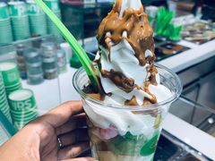 -Salud撒露欧洲冻酸奶(北苑上品店)