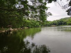 -南国桃园旅游度假区