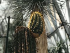 -北京植物园-展览温室