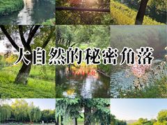 -黛秀湖公园