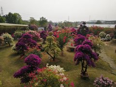 -盈香心动乐园