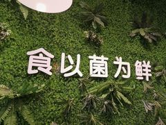 -菌乡缘·野生菌蒸汽鱼火锅(江边夜市店)