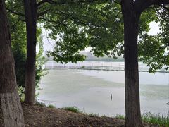 -金银湖国家城市湿地公园