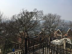 -上海佘山国家森林公园西佘山园