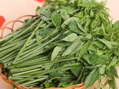 -黔府豆米火锅野菜馆(南马店)