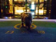 -月亮河温泉度假酒店