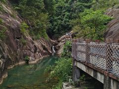 -广州白江湖森林公园