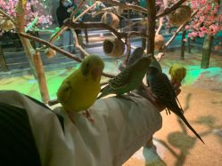 -酷嗒动物文化乐园(cutezoo西溪乐天城店)