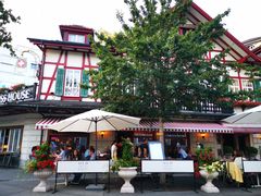 -Old Swiss House