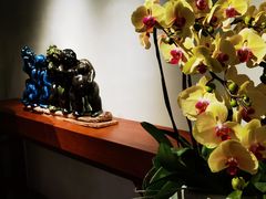 -花城苑广府菜(侨鑫店)