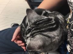 -PETKIT 小佩宠物·低压洗护·美容·寄养(安远店)