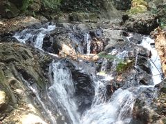 景点-莫里热带雨林景区