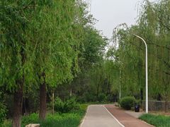 -绿堤公园
