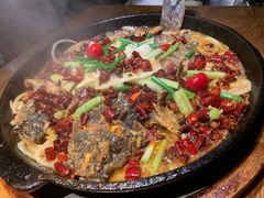 -老板恋上鱼(高新万达店)