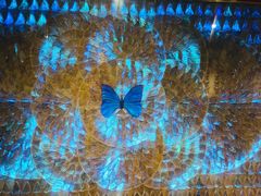 -上海昆虫博物馆