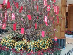 -深圳海景嘉途酒店(东翼楼)