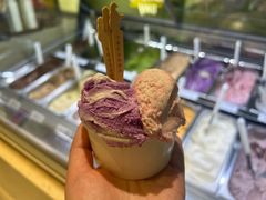 -鹤茶野所(上海首店)