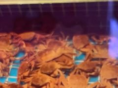 -九月海·海鲜自助(世纪东方店)