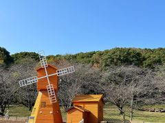 -苏州上方山国家森林公园