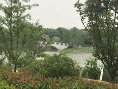 -昆山城市生态森林公园