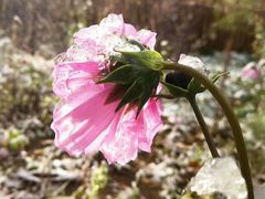 -长春世界雕塑园冰雪艺术天地