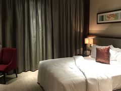-深圳湾科技园丽雅查尔顿酒店