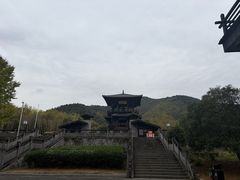 -大唐贡茶院