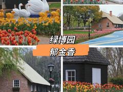 -鸡鸣寺