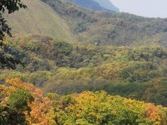 -天女山森林公园