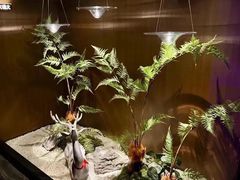 -大桶大足浴(山钢和润荟店)