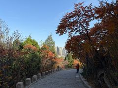 -南翠屏公园