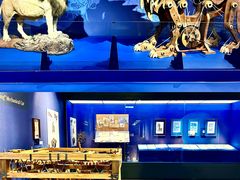 -国家自然博物馆