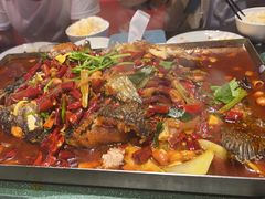 -美蛙四季(六里桥店)
