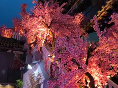 -大召寺明清一条街