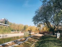 -元大都城垣遗址公园