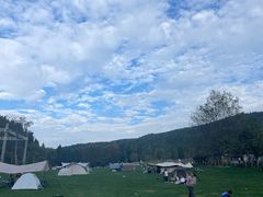 -武陵山森林公园