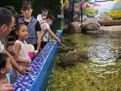 -顺德南宏海立方海洋公园