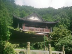 -十八棵（老龙井）御茶园(老龙井店)