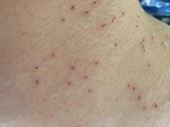 -北京市健宫医院