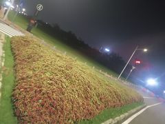 -东莞银行篮球中心