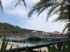 -广东惠东海龟国家级自然保护区